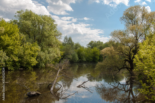 jedna z większych rzek Polski, rzeka Bug,  wspaniała dzika przyroda, błękitne niebo z malowniczymi obłokami  