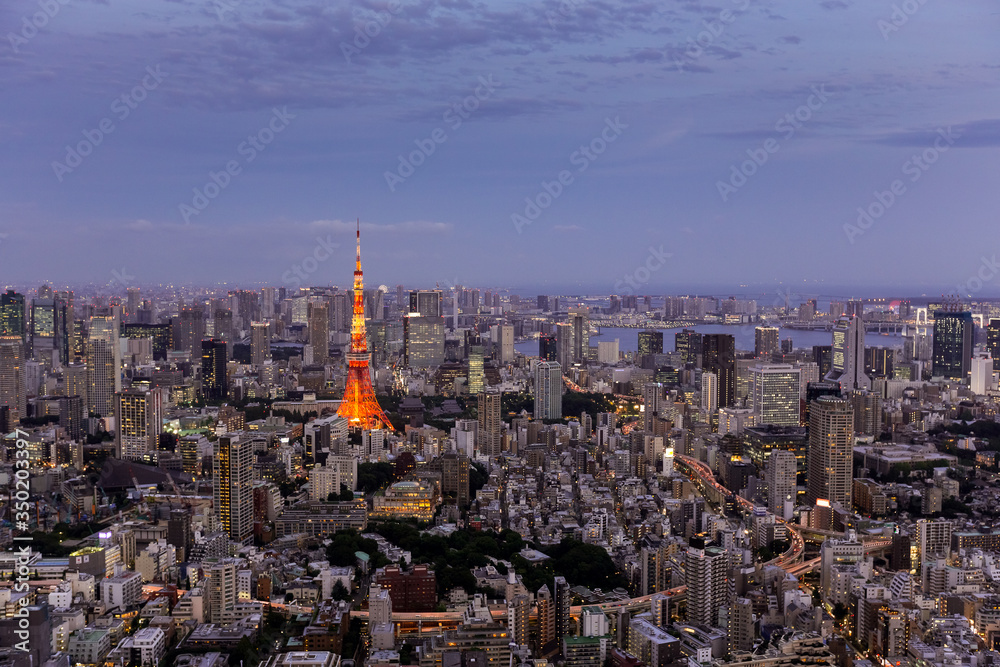 Obraz premium Tokyo skyline and TV Tower, Tokyo, Japan