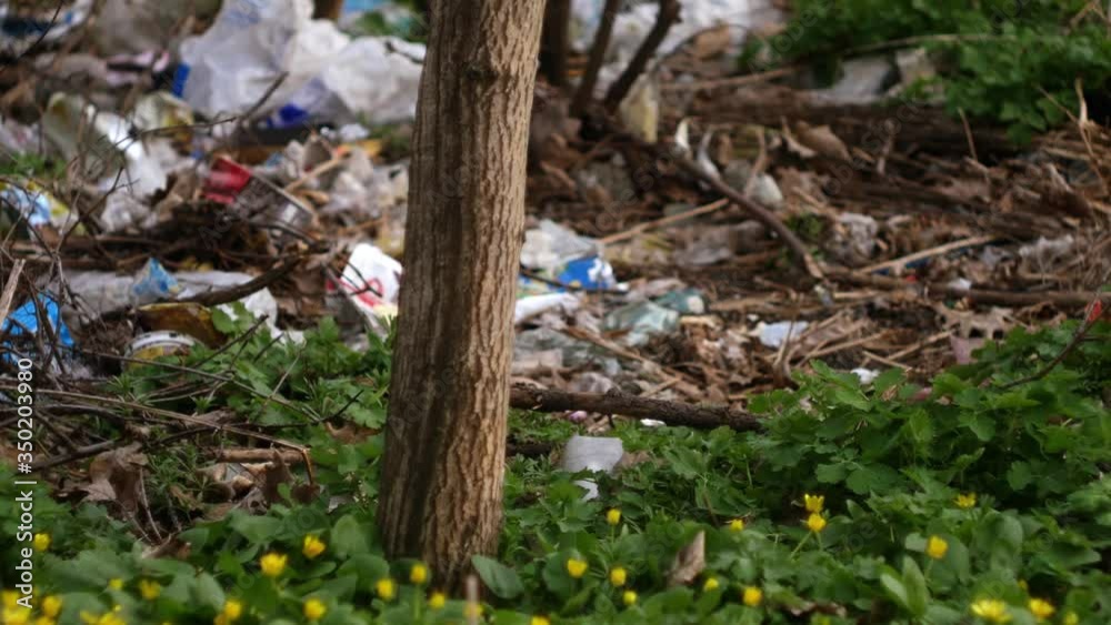Trash laying in the forest. Environmental problems. Nature pollution 4k. Eco awareness Trash laying in the forest. Environmental problems. Nature pollution 4k. Eco awareness