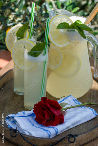 freshly squeezed fresh homemade lemonade