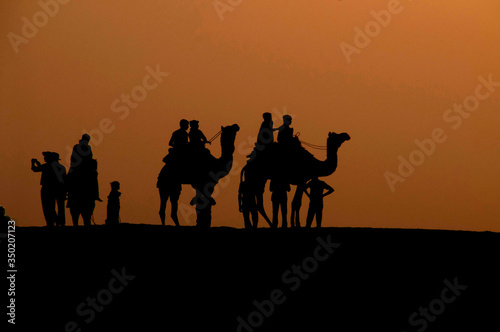 Silhouette of camels , Jaislamer district, Rajasthan, India