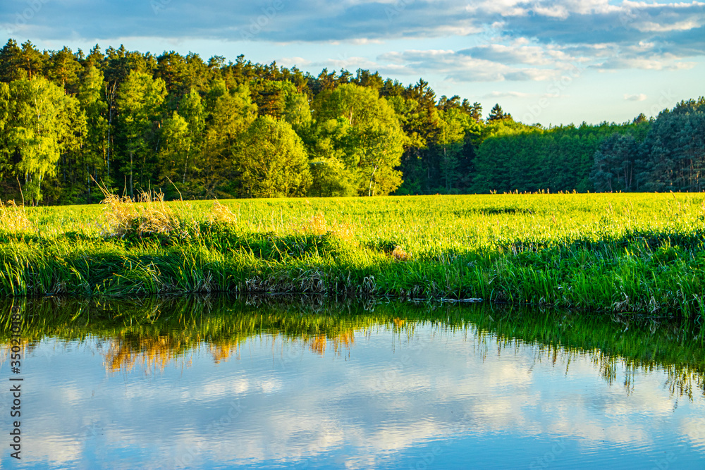 Fototapeta premium Summer landscape with wild lake water in the middle of the field