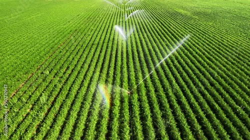 Irrigation: agriculture footage of vast green fields being artificially watered in bright sunshine, flying backwards over the sprinklers and capturing rainbow color effects in the water
