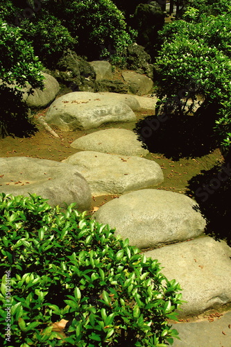 初夏の飛び石のある日本庭園風景