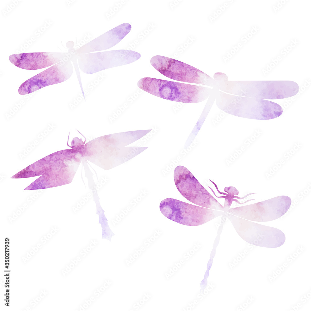 Fototapeta premium vector, white background, purple watercolor dragonfly silhouette fly