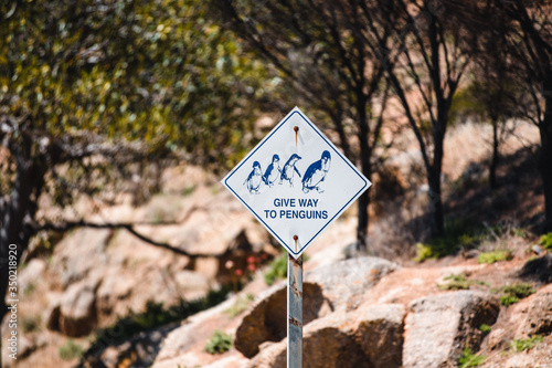 penguin shield on granite island, south australia