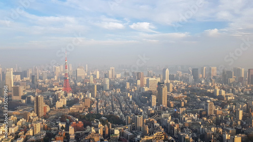 Tokyo Skyline through the haze
