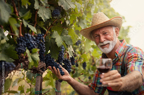Konstfotografi Winemaker in vineyard with glass of white wine