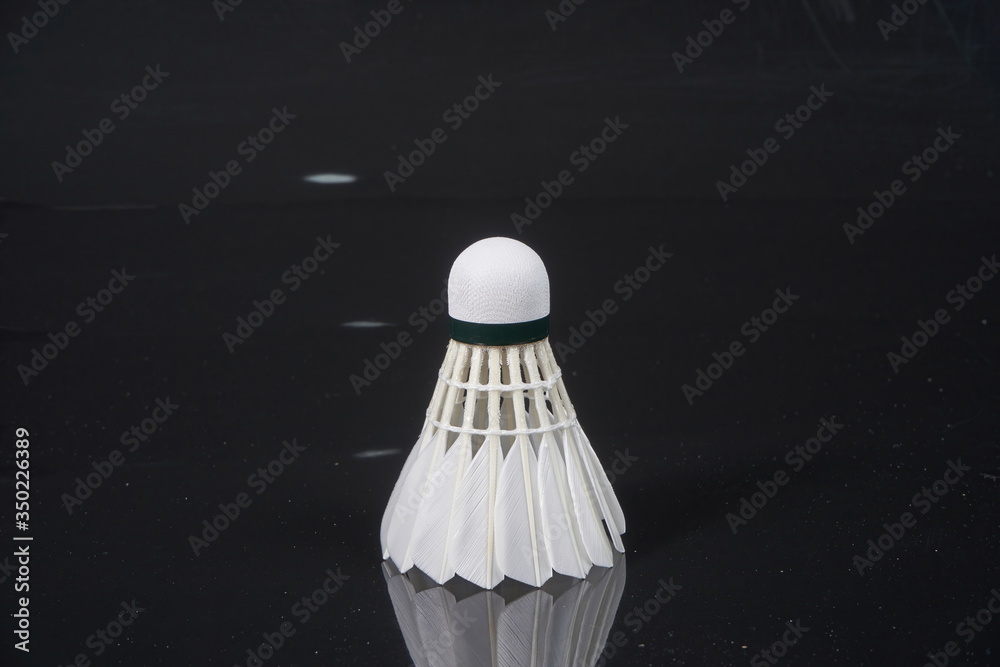 Badminton placed vertically in isolation against a black glass background