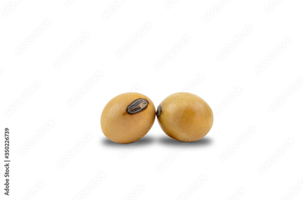 Closeup of soy beans isolated on white background with clipping path. Soy bean or Glycine max is a species of legume native to East Asia. of soy beans isolated on white background. Closeup of soy beans isolated on white background with clipping path. Soy bean or Glycine max is a species of legume native to East Asia. of soy beans isolated on white background.