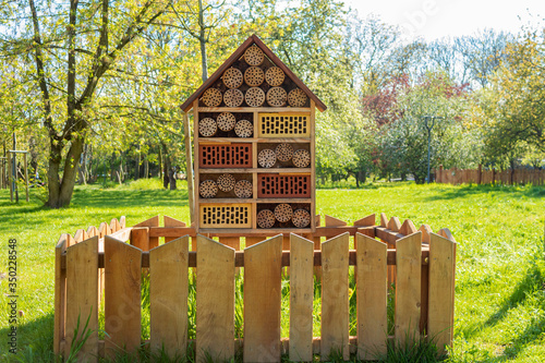 House of insects from wood and gina photo