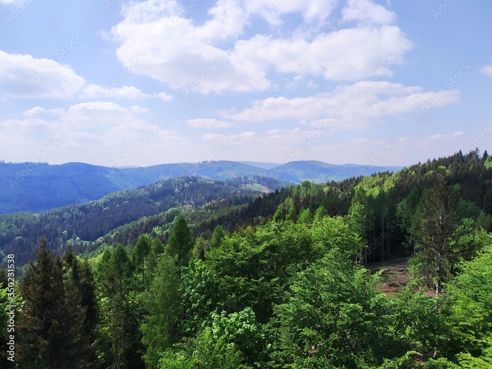 Spring Forest Mountain View, Czech Republic