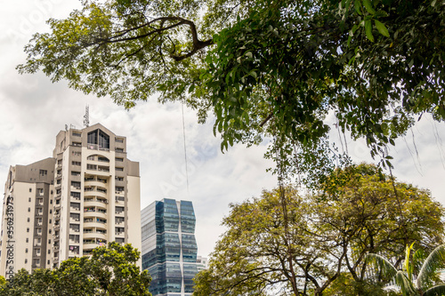 Huge skyscrapers behind tropical nature, Kuala Lumpur. photo