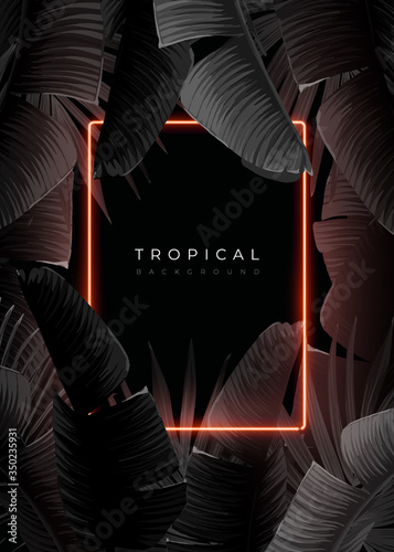 Dark monochrome tropical design with exotic banana leaves, soft neon frames and space for text. Vector summer template for poster, banner, card or flyer.