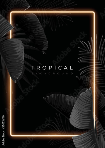 Dark monochrome tropical design with exotic banana leaves, soft neon frames and space for text. Vector summer template for poster, banner, card or flyer.
