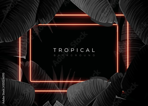 Dark monochrome tropical design with exotic banana leaves, soft neon frames and space for text. Vector summer template for poster, banner, card or flyer.