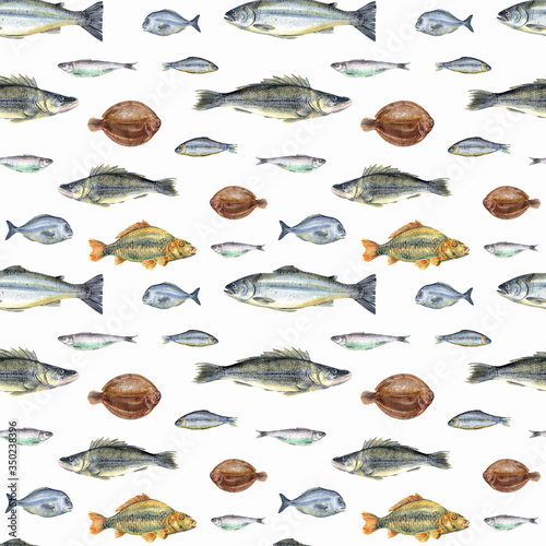 Fish seamless pattern on white background, eel, herring, pike perch, salmon, dorado, carp, plaice, sprats. Stock illustration. Hand painted in watercolor.