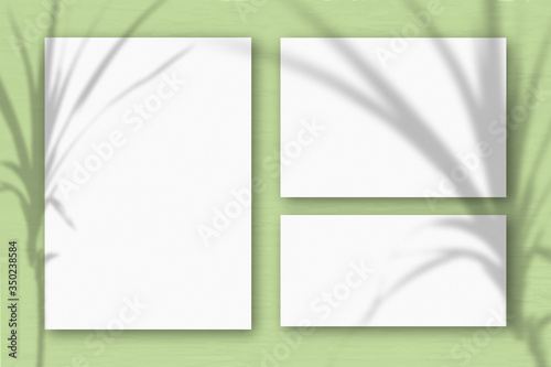 Several horizontal and vertical sheets of white textured paper on the background of a light green wall. Natural light casts shadows from a tropical plant. Flat lay, top view