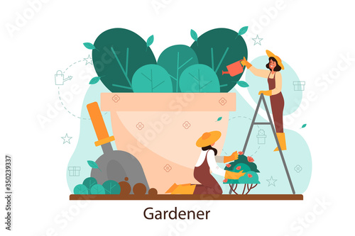 Woman watering flower in the pot. Idea of gardening and horticultural
