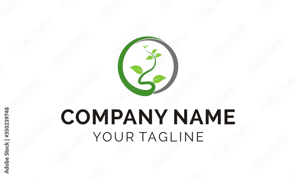 logo design growing leaf bloom logo design growing leaf bloom