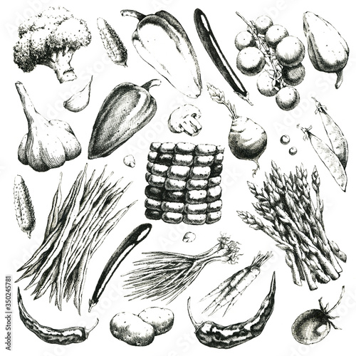 Black-white hand-drawn set of vegetables. Jpeg only.