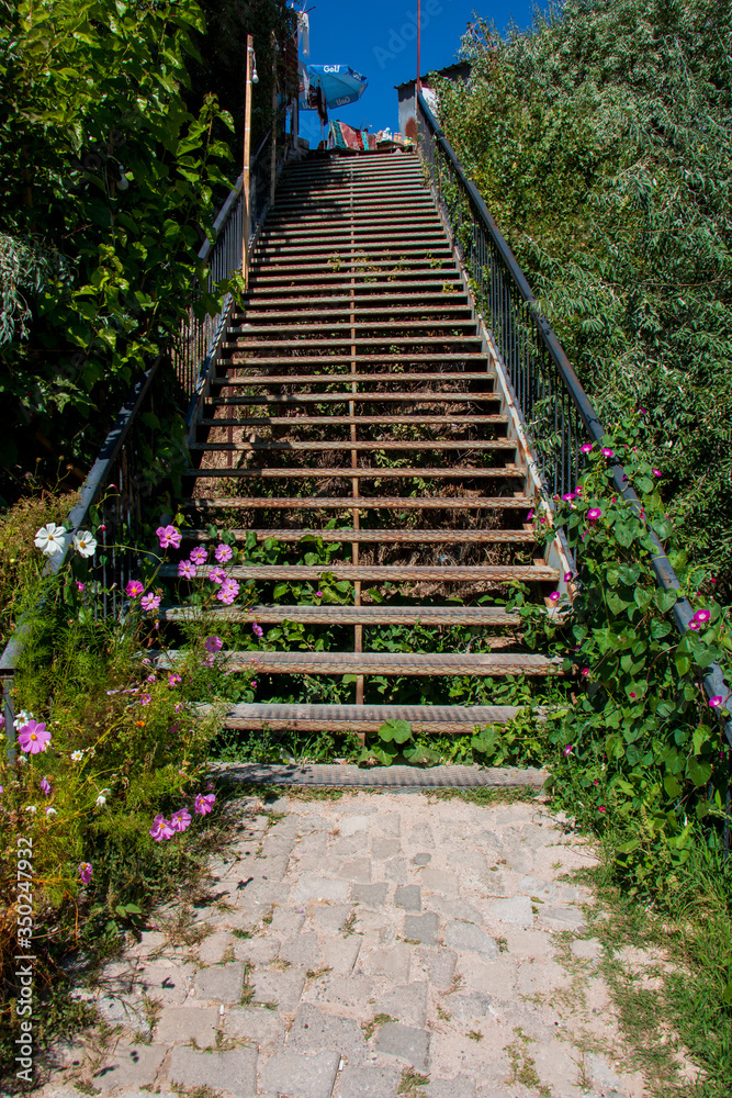 stairs in the garden