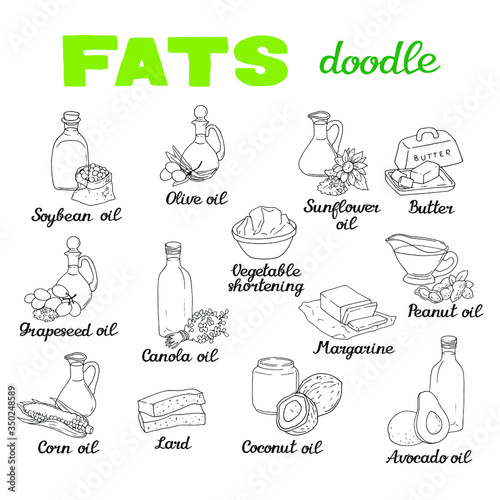 Vector illustration isolated elements with different sorts of fat