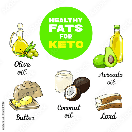 Vector illustration isolated elements with different sorts of fat