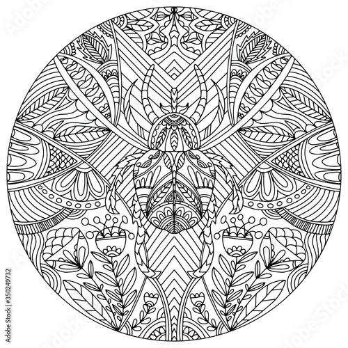 hand drawn mandala decorated with plants and insect in the middle for coloring, isolated, vector, coloring book,