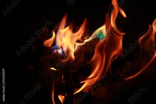 fire in the firewood . color of flame