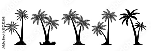 Tropical Palm Trees Set Silhouettes. Vector illustration Black isolated on white background. Illustration In Nature Style. For Web Banners, Posters, Cards, Wallpapers. 