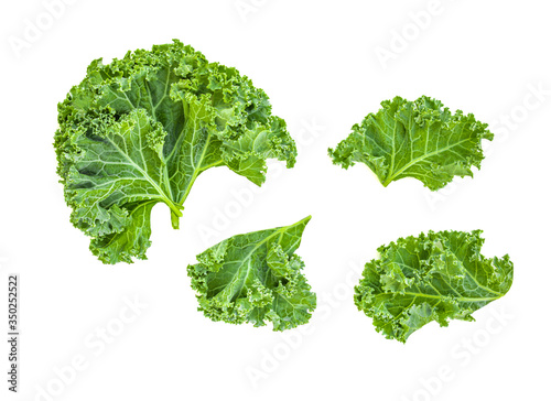 Creative layout made of kale leaves. Flat lay. Raw Kale salad isolated on white background. Food concept..