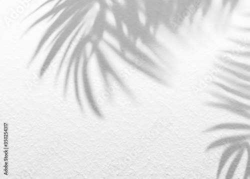 White gray grunge cement texture wall leaf plant shadow background.Summer tropical travel beach with minimal concept. Flat lay palm nature. photo