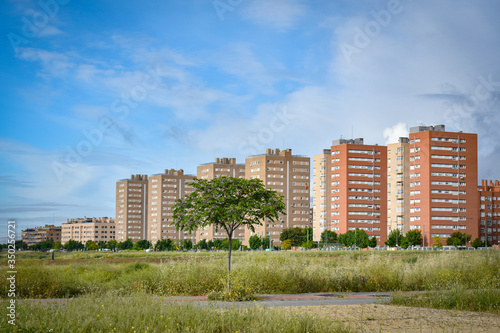 landscape with tree and buildings in the background with sky with clouds