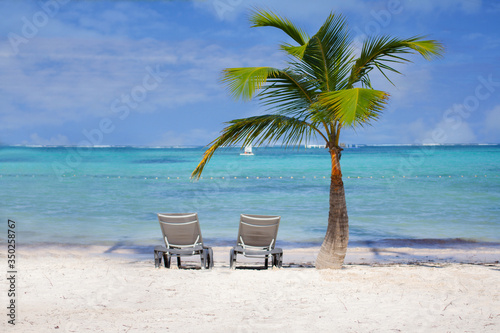 Two sun loungers next to a palm tree on a white sand beach