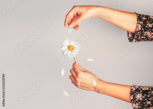 woman hands holding a flower