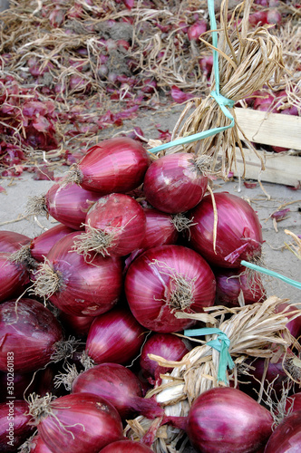  red onion of Tropea that is the name given to the red onion (Allium cepa) grown along the Tyrrhenian belt 