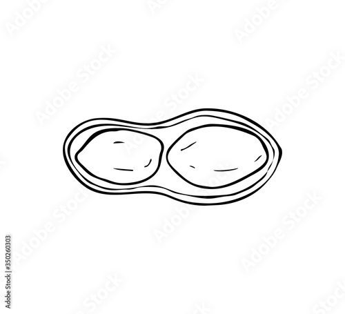 Peanut images isolated on white background. Ink sketch of nuts. Hand drawn vector illustration.