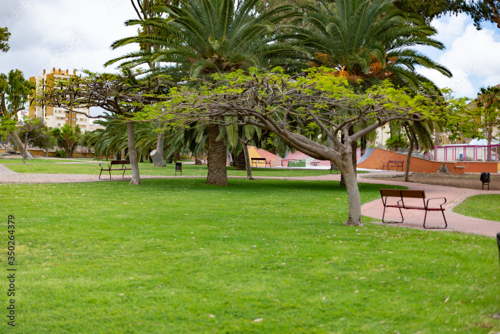 Bionite urban park with trees, grass, lake banks source. Bionite urban park with trees, grass, lake banks source.