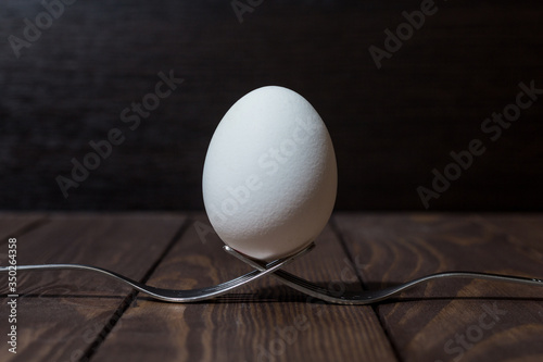 egg on a dark background. white egg on a dark wooden background