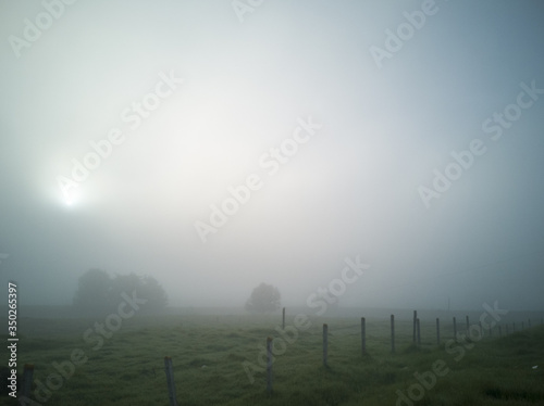 savanna landscape with fog © Diego