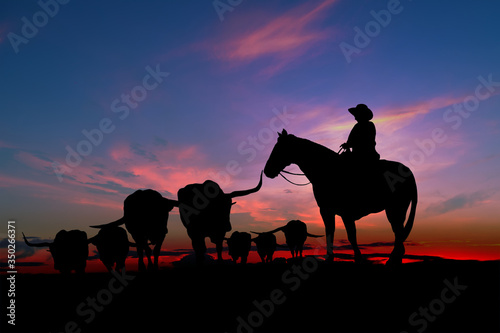 Cowboy silhouette with horse in the sunset,