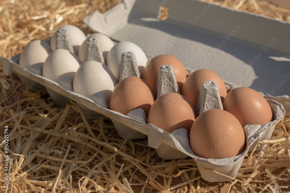 Huevos Blancos Y Negros En Hueveras De Gallinas Criadas En Libertad En huevos-blancos-y-negros-en-hueveras-de-gallinas-criadas-en-libertad-en
