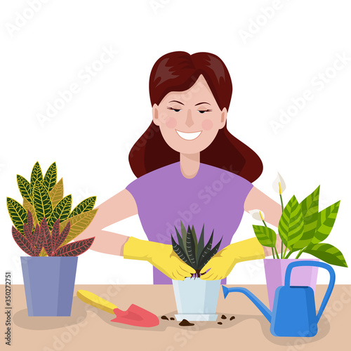 A woman caring for indoor plants: transplanting a plant into a pot. Hobby gardening. Vector illustration