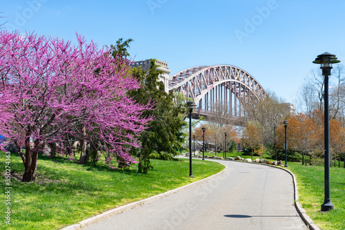 Photography Empty Street on Randalls and Wards Islands with Colorful Plants and Flowers duri