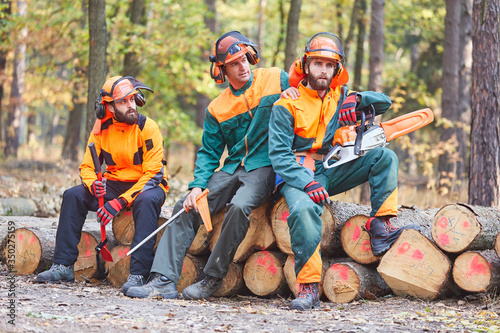 Gruppe Forstwirte bei Waldarbeit im Wald