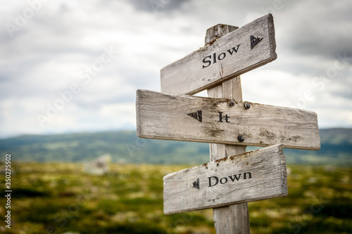 slow it down text engraved on wooden signpost outdoors in nature.