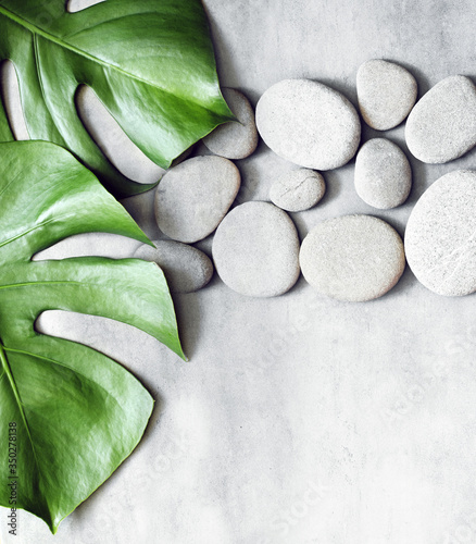 Photography Flat lay composition with spa stones, palm leaves on grey background