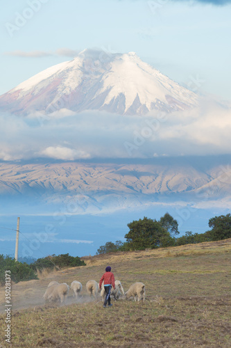 Cotopaxi volcano (Ecuador), in a vertical photo, useful for a book cover. At the bottom a shepard with its sheeps, At the top the crater.