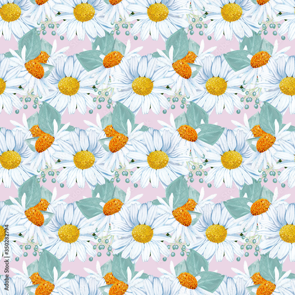 seamless patterns with  daisies on a pink background